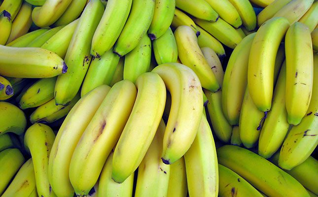 Banana Growing in Malawi